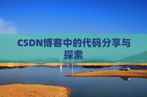 CSDN博客中的代码分享与探索