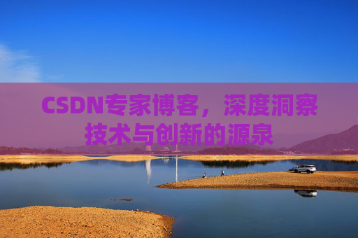 CSDN专家博客，深度洞察技术与创新的源泉